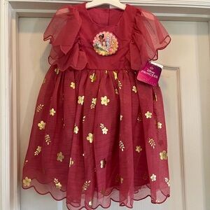 NWT Disney Princess Metallic Shine Short Sleeve Tulle Dress Size 4T